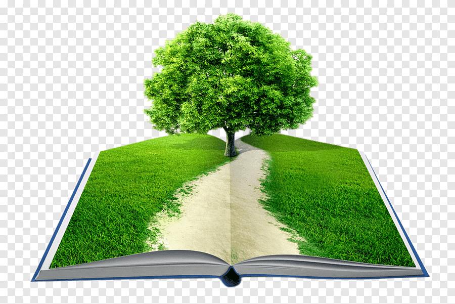 كتب