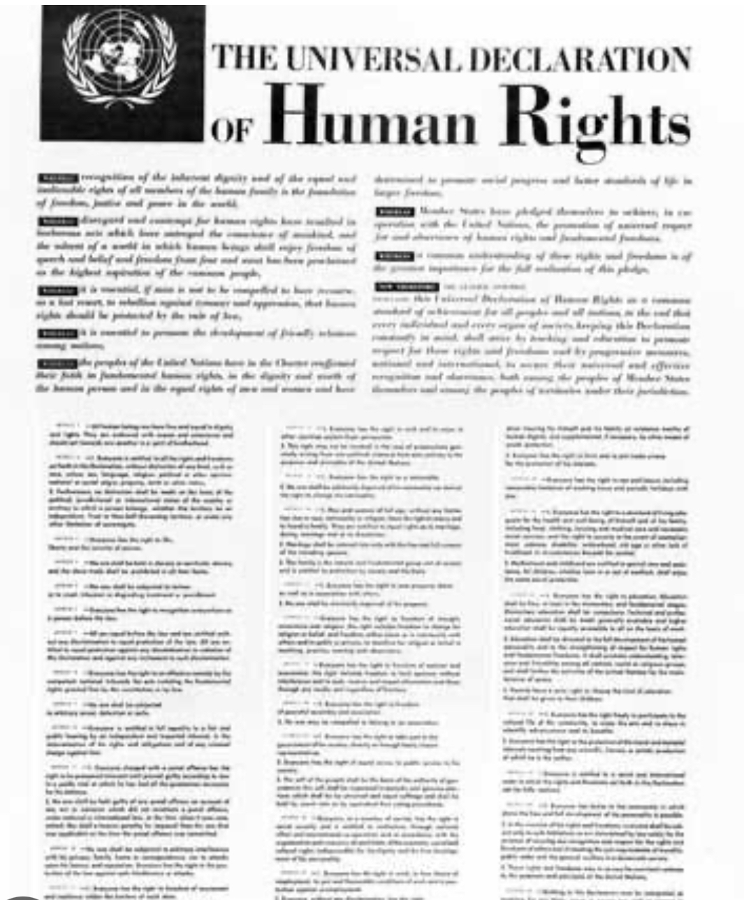 معاهدة حقوق الانسان الدولية