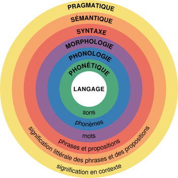 Les domaines de la linguistique