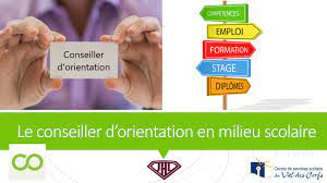 إرشاد تربوي